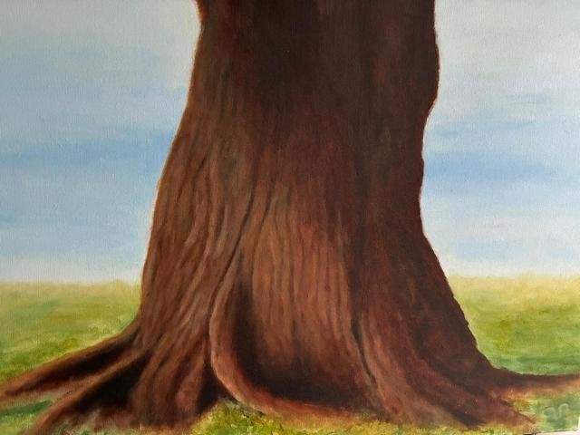 American Oak 60x50cm